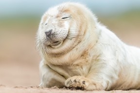 爱游戏官方网站-球员是否通过提前压上控制反击线路形成反包夹