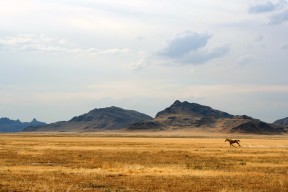 爱游戏官网-残奥会精彩瞬间 运动员诠释坚韧精神，残奥会运动员的励志故事