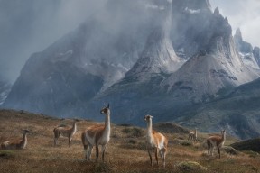 爱游戏官方-恩比德称稳定心态是赛季核心目标，恩比德现在这个赛季打了多少场