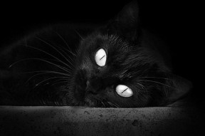 -英超激烈未止：悬念环环相扣，精彩无限！，英超bha