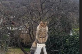 爱游戏官方网站-篮球青训基地揭牌仪式在多地同步举行，青年篮球培训基地