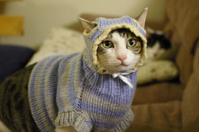 爱游戏app-美国队在国际乒联混合团体世界杯中的团体协作与个人表现，美国乒乓球队名单