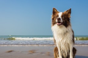 AYX GAMING-中国篮球注重伤病预防率先引入智能训练设备，中国篮球训练现状