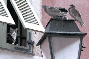 爱游戏app-中国队稳步提升成绩赢得掌声，中国队的成绩