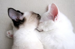 爱游戏官方-美网公开赛男单爆出冷门，美网公开赛男单爆出冷门了吗