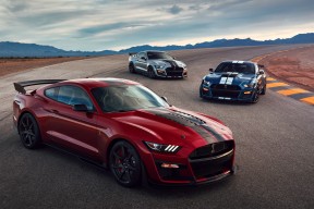 AYX SPORTS-法甲青春闪耀：新生力量志在必得！