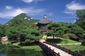 爱游戏体育（AYX）官方APP下载-电竞选手作息规律调整提升身体与专注力，电竞选手日常作息