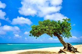 爱游戏中国官方登录入口网站-拉齐奥持续控球牵引对方整体移动，拉齐奥的传奇球员