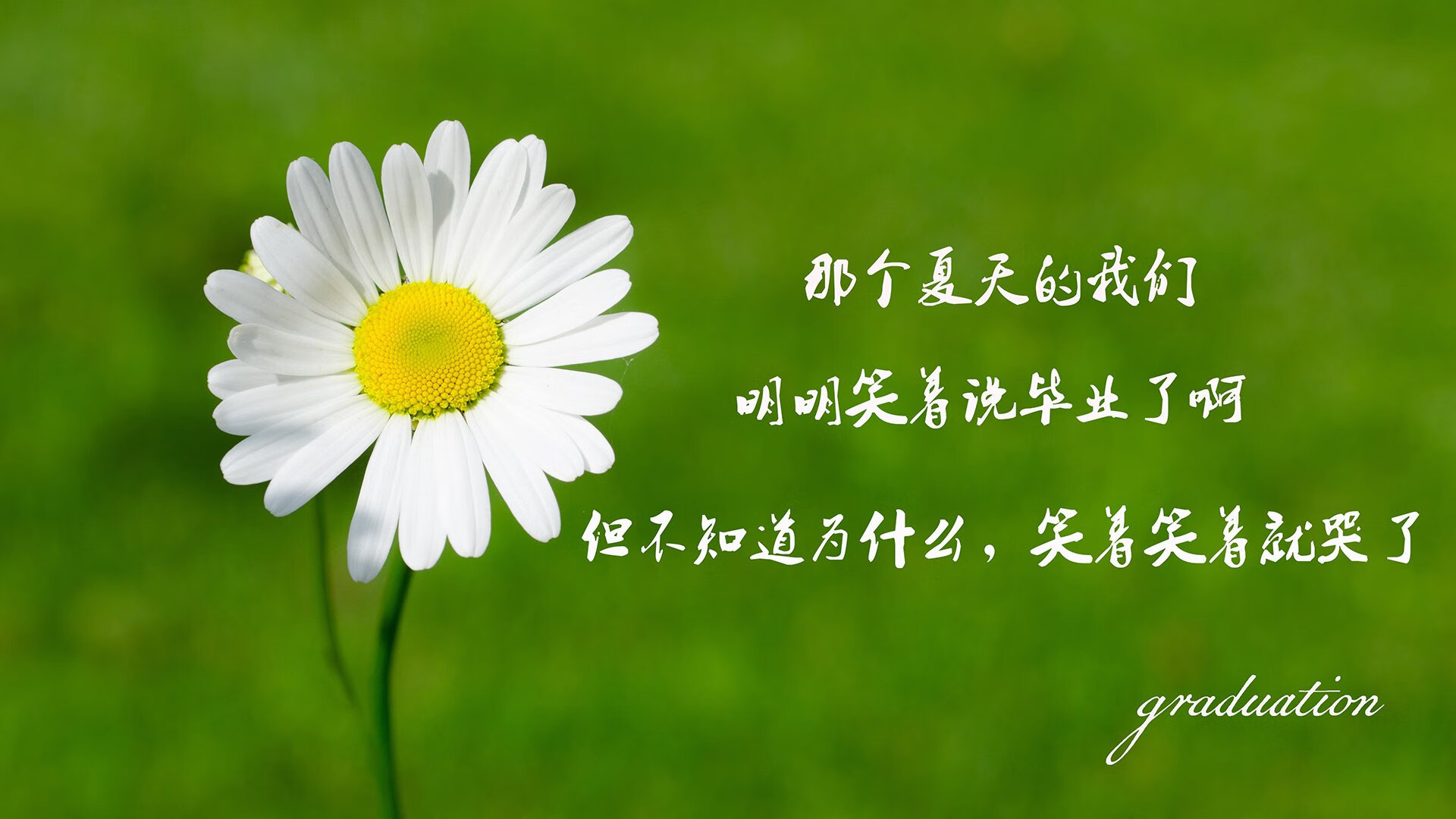 WCBA季后赛广东女篮力克四川问鼎冠军，广东女篮比赛视频