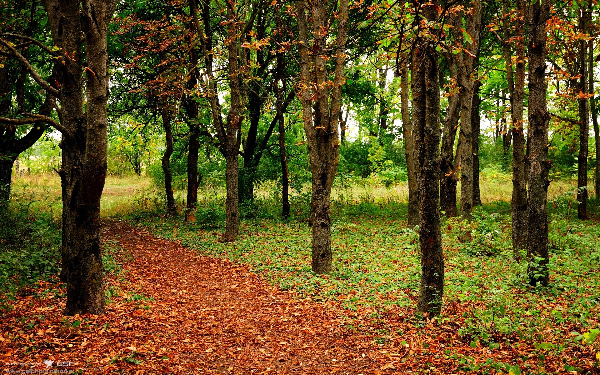 中国足球发展规划模糊，中国足球中长期发展规划(2016-2050年)