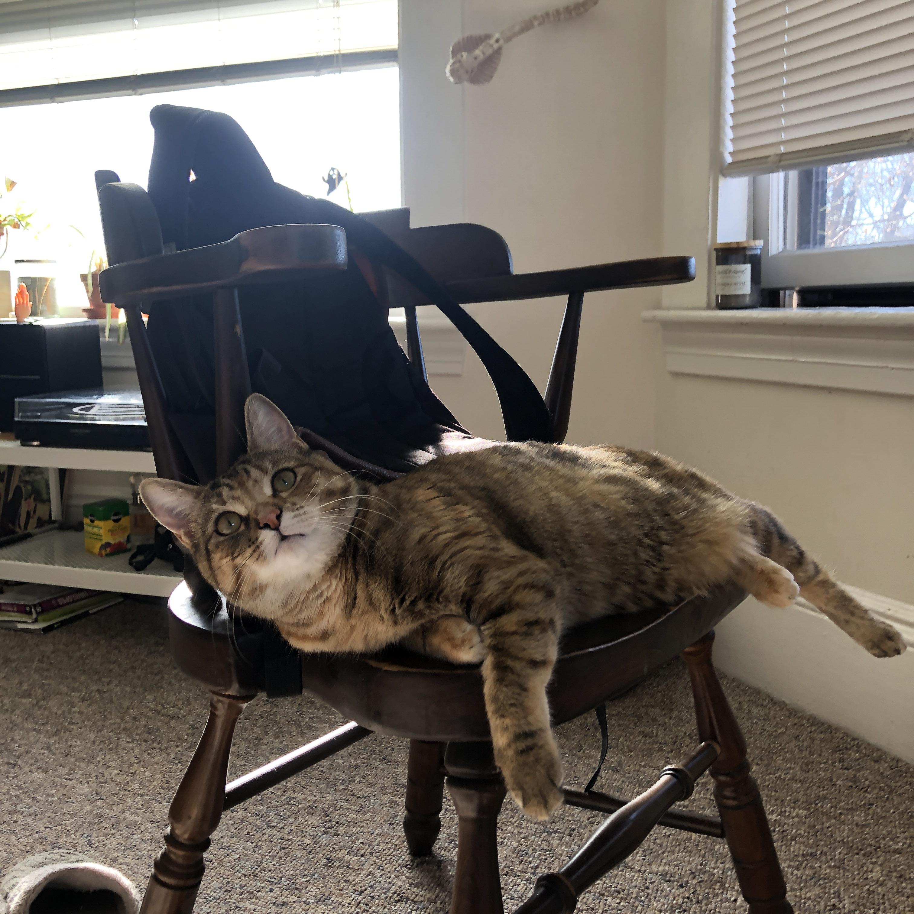 国家队备战投入与成效不成正比,国家队备战投入与成效不成正比的原因