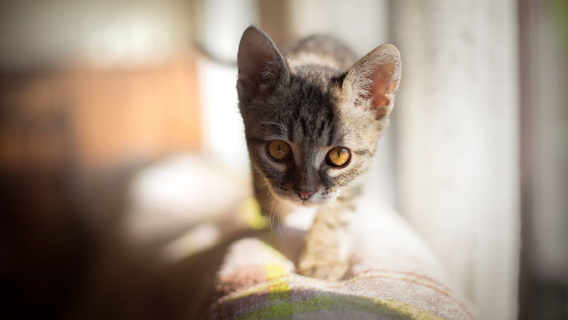 热刺控制节奏消耗对手体能,热刺踢法