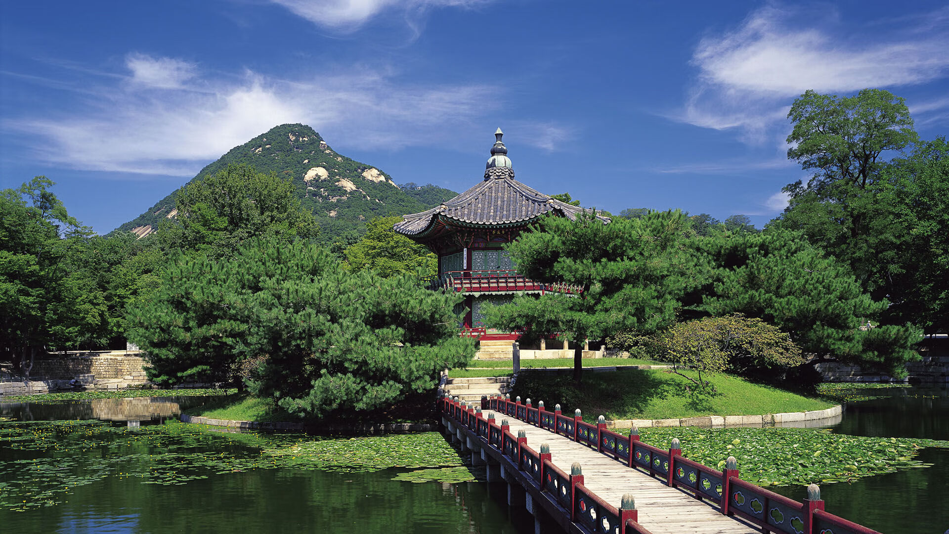 电竞选手作息规律调整提升身体与专注力，电竞选手日常作息