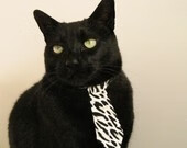 青少年赛事结构缺乏层级联动，青少年比赛项目