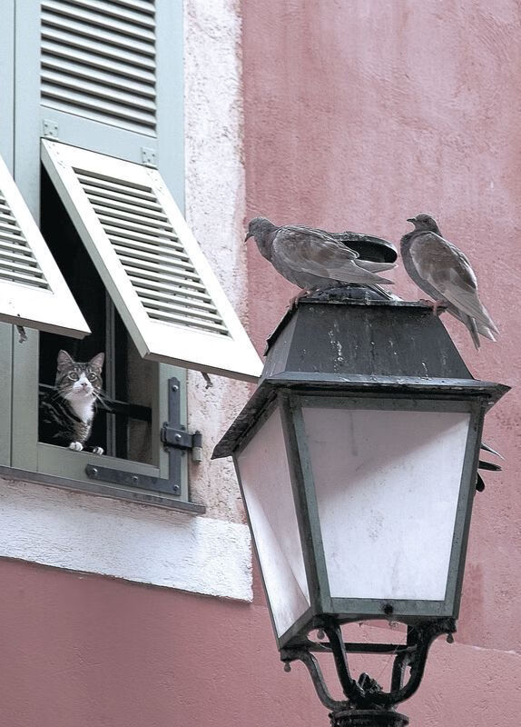 中国队稳步提升成绩赢得掌声，中国队的成绩