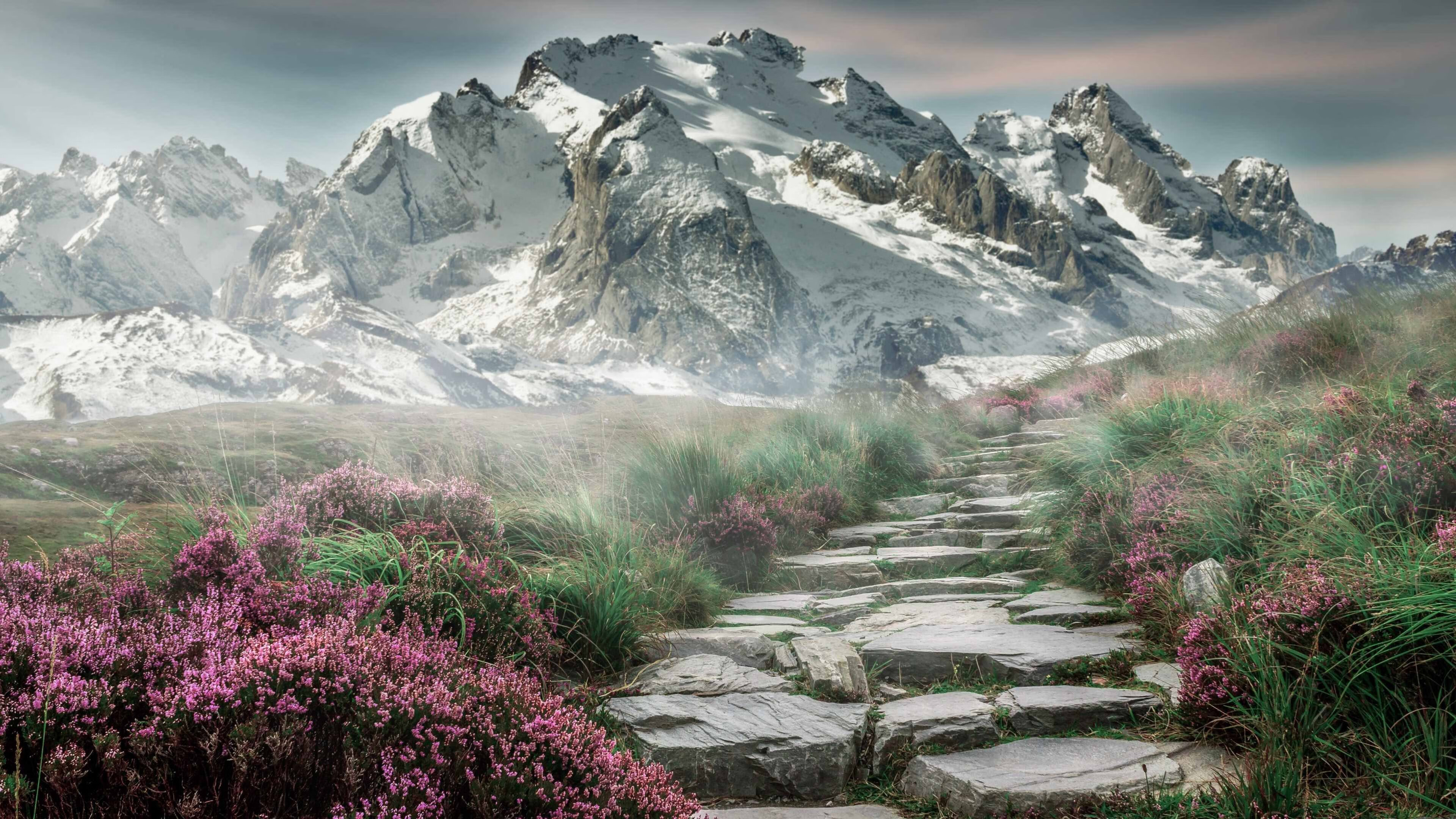 体育新闻中心战术技战深析，战术基础新闻