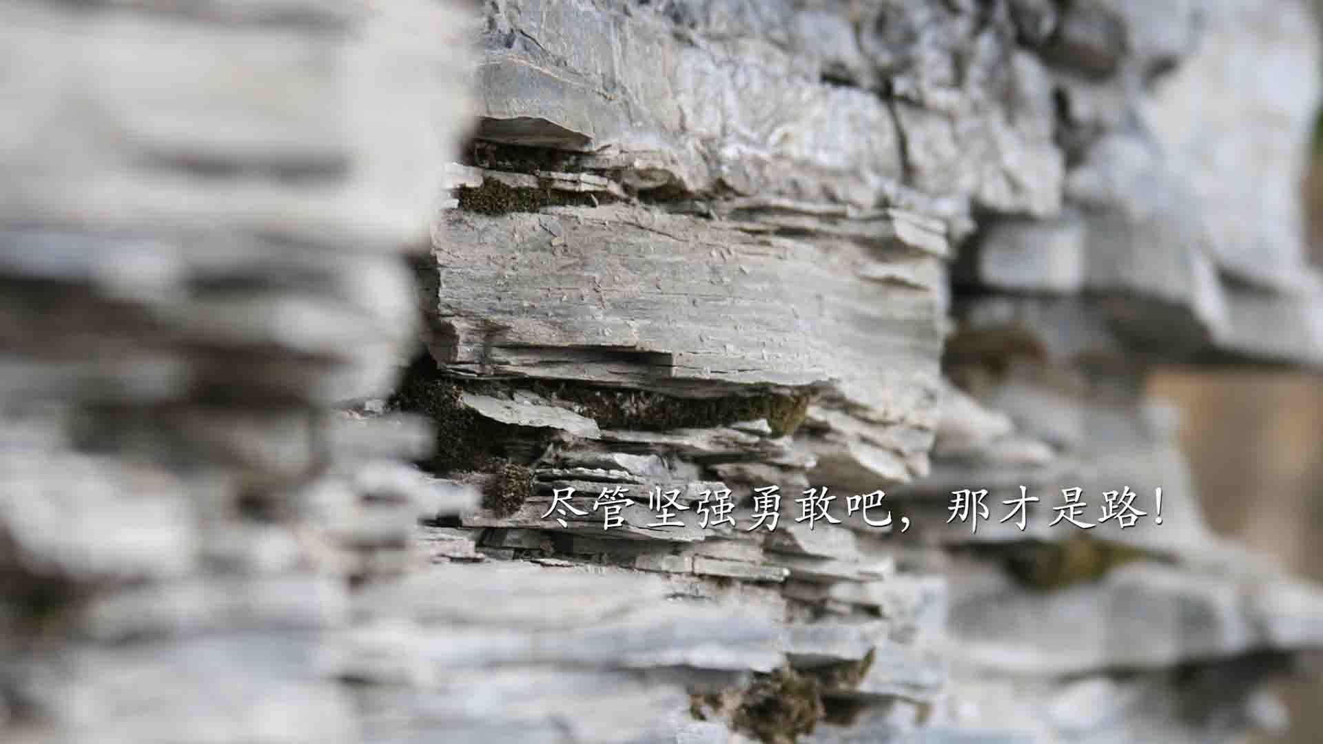 希腊女篮在欧洲锦标赛中积极备战,争夺奖牌在望,希腊女球迷