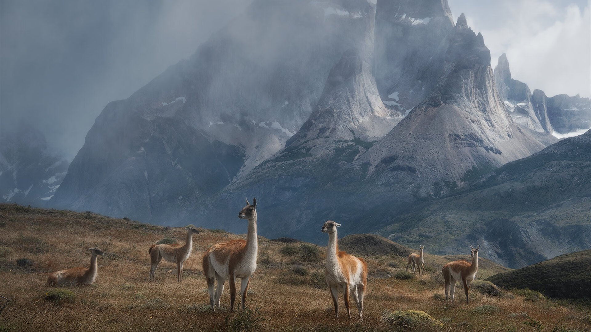 恩比德称稳定心态是赛季核心目标，恩比德现在这个赛季打了多少场