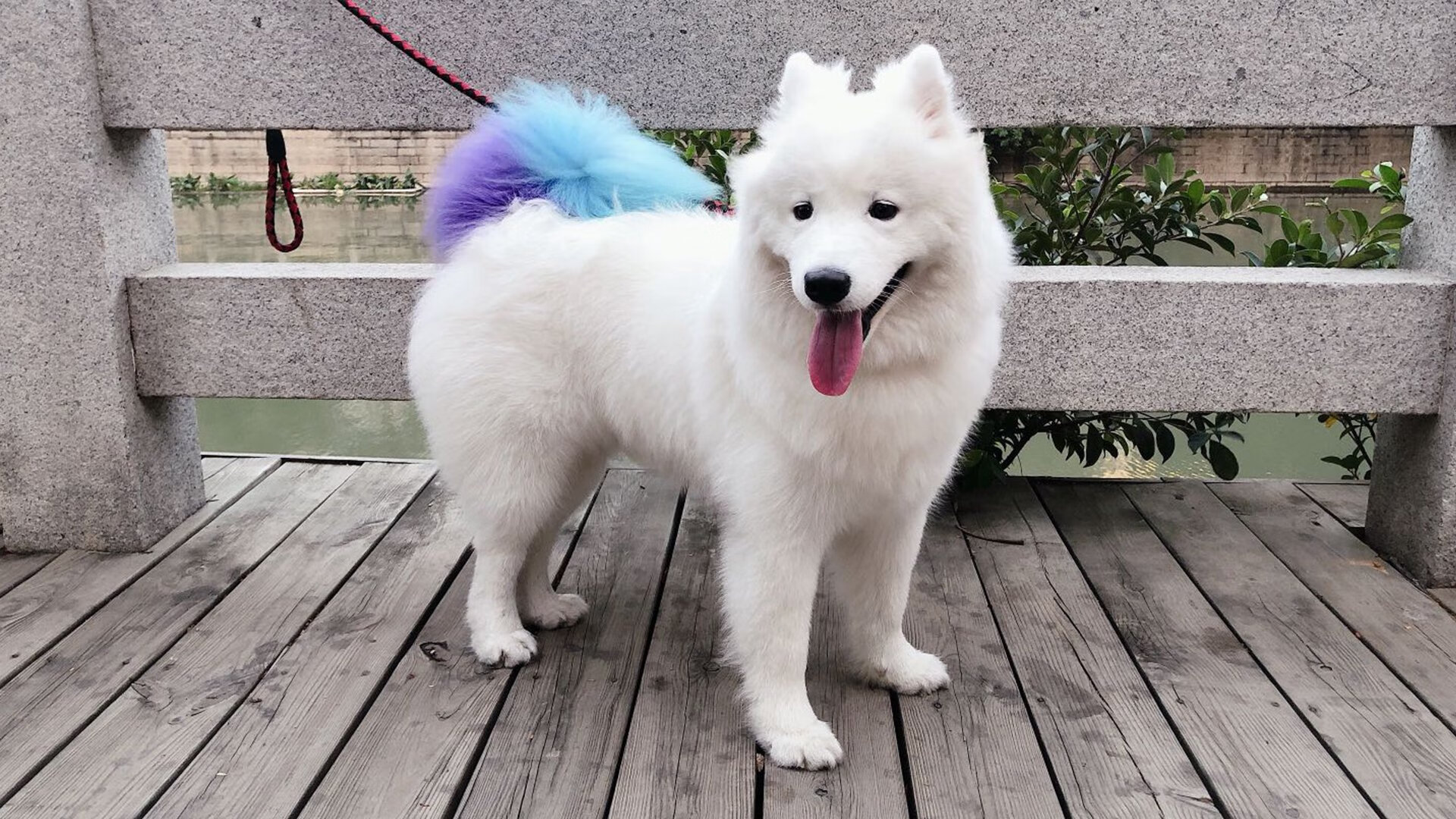 皮特·斯图斯：南非防线的基石，屡次化解危机，斯图皮特2021