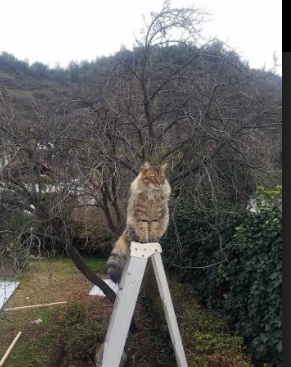 篮球青训基地揭牌仪式在多地同步举行，青年篮球培训基地
