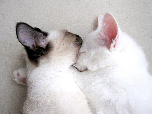 美网公开赛男单爆出冷门，美网公开赛男单爆出冷门了吗